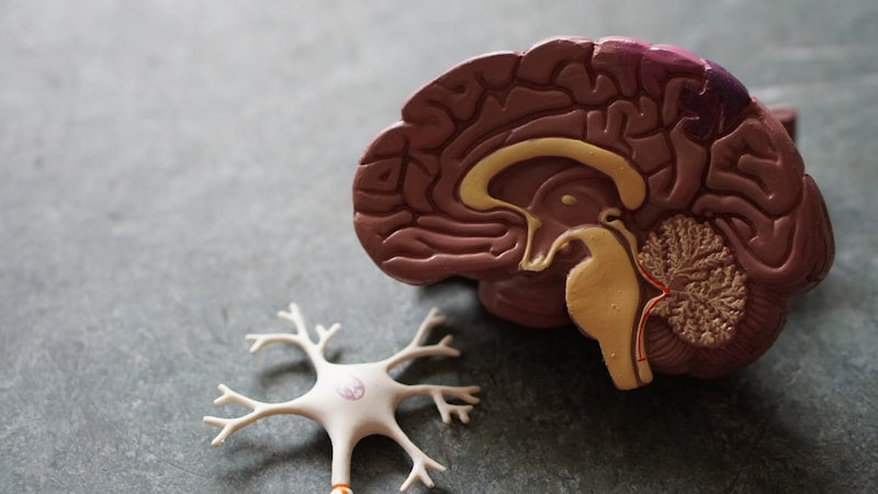 YK-11 : Le SARM-Steroide Hybride — Analyse et Dangers