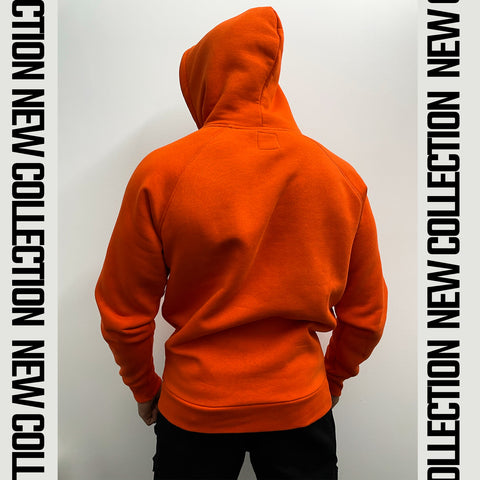 Hoodie Brick Orange Discipline